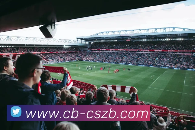 彩神争霸平台生态图